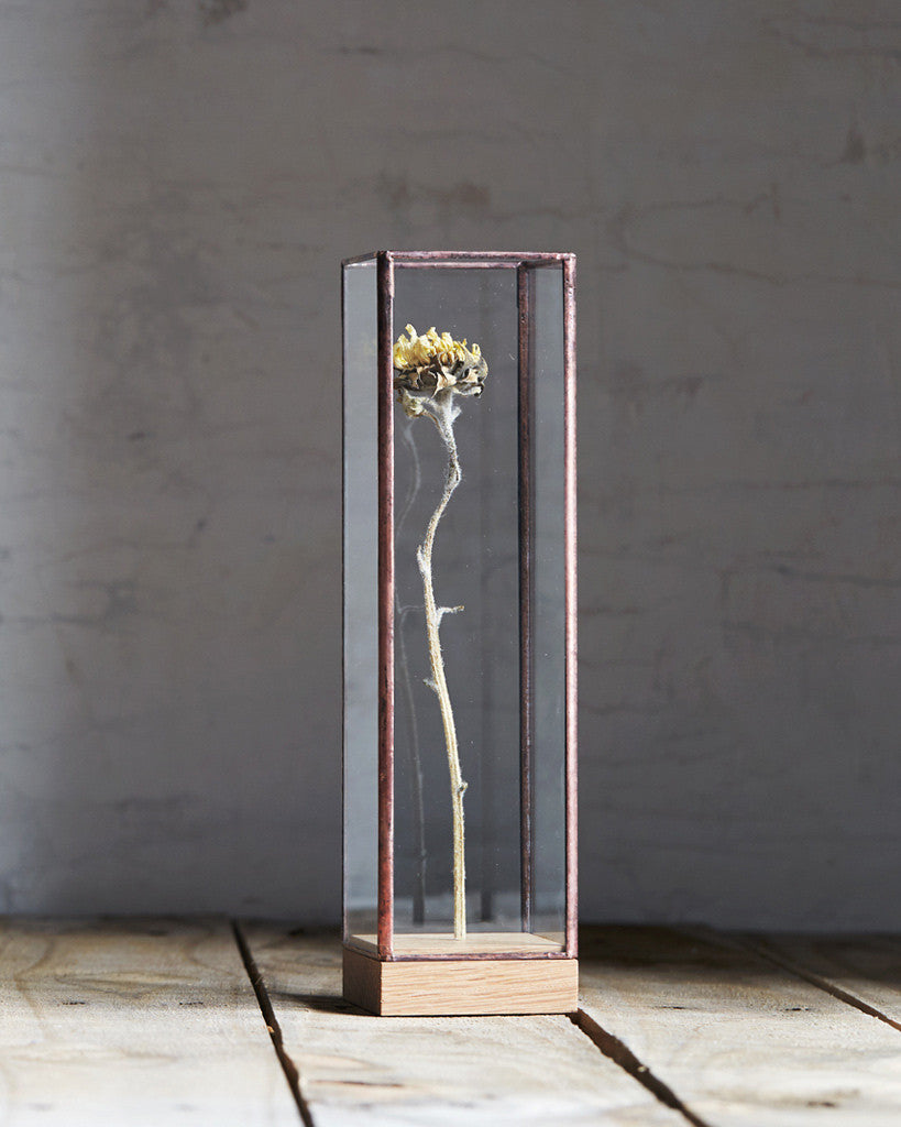 Flower Showcase - Small Copper