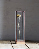 Flower Showcase - Small Copper