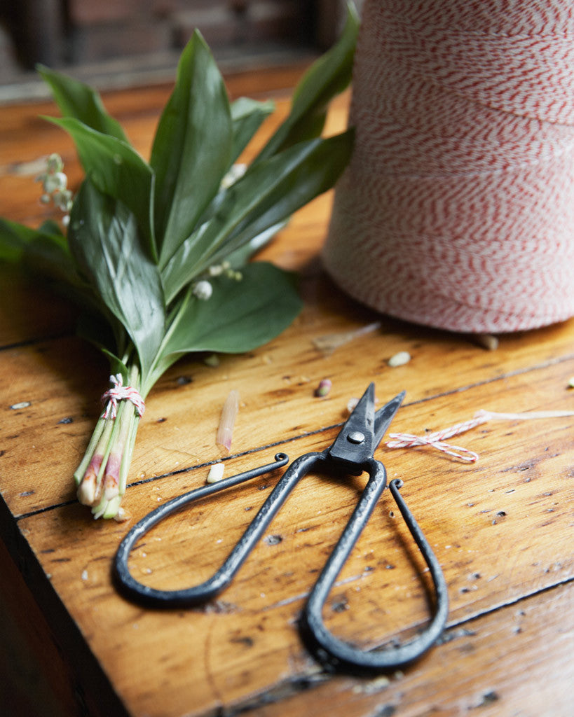 Japanese Essential Shears – The Floral Society