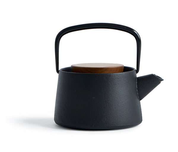 Tetu Cast Iron Kyusu Teapot