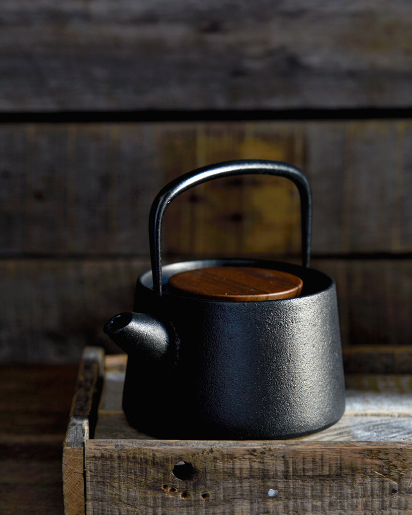 Modern Cast Iron Teapot, Pastel Colors