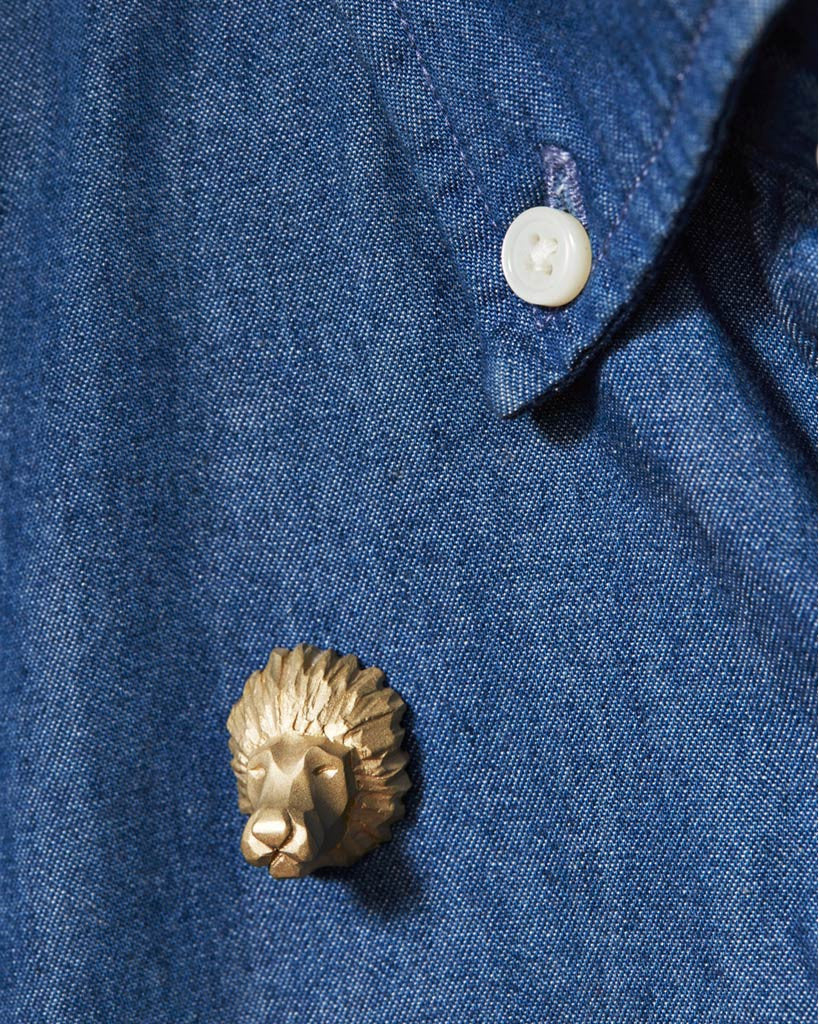 Brass Lion Pin