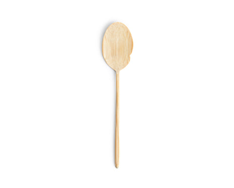 Bamboo Fish Spoon