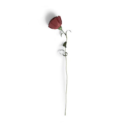 Paper Flower - Red Carnation (OUT OF STOCK)