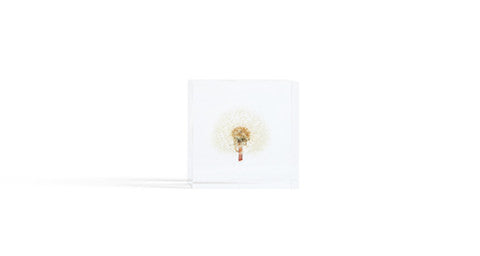 Dandelion Sola Cube