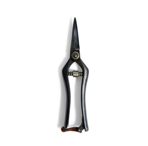 Black Thinning Garden Shears