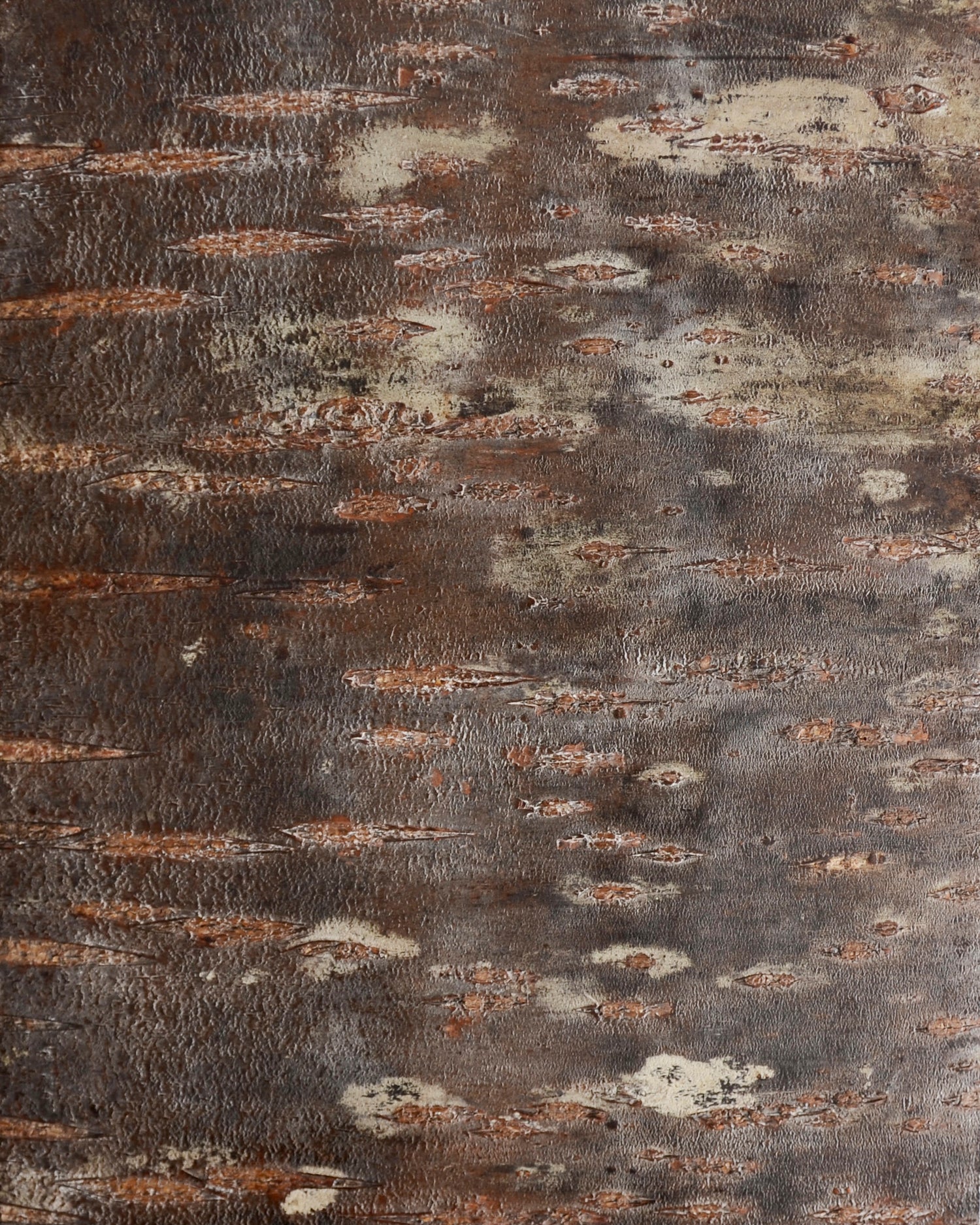 Cherry Bark Portfolio Box