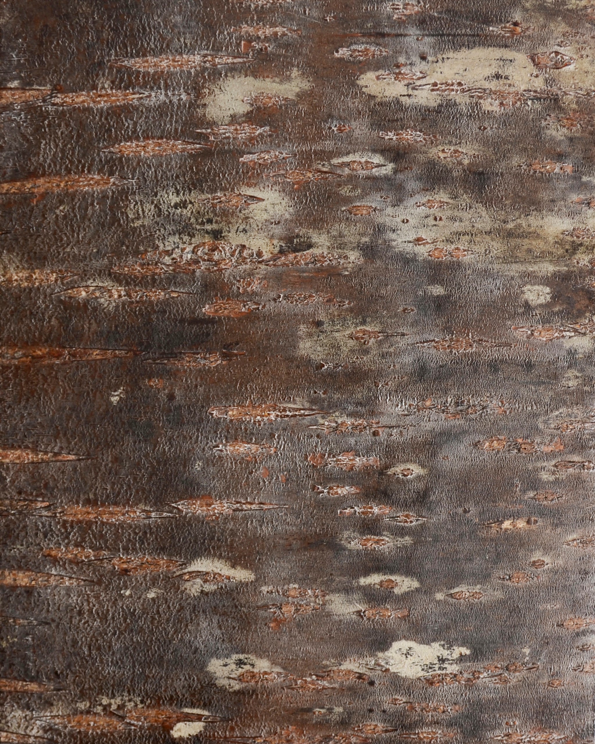 Cherry Bark Portfolio Box