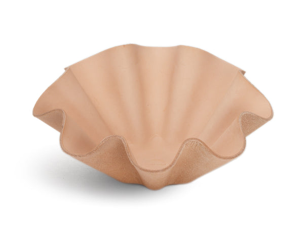 Shell Bowl