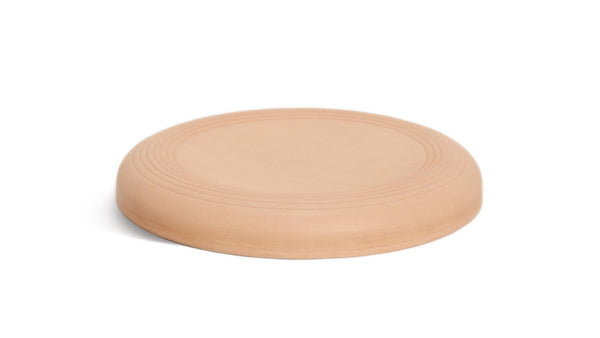 Flying Disc