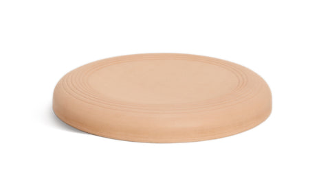 Flying Disc