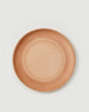Flying Disc