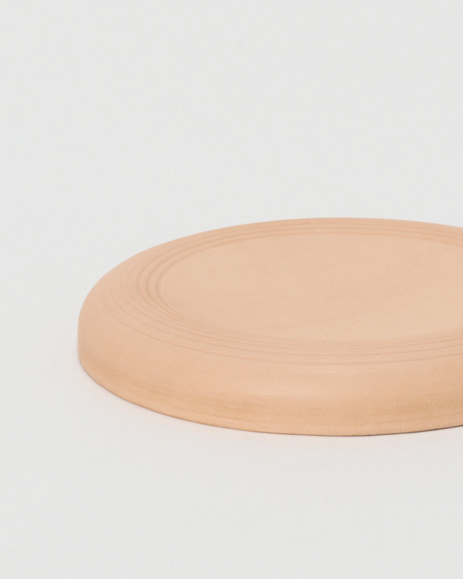 Flying Disc