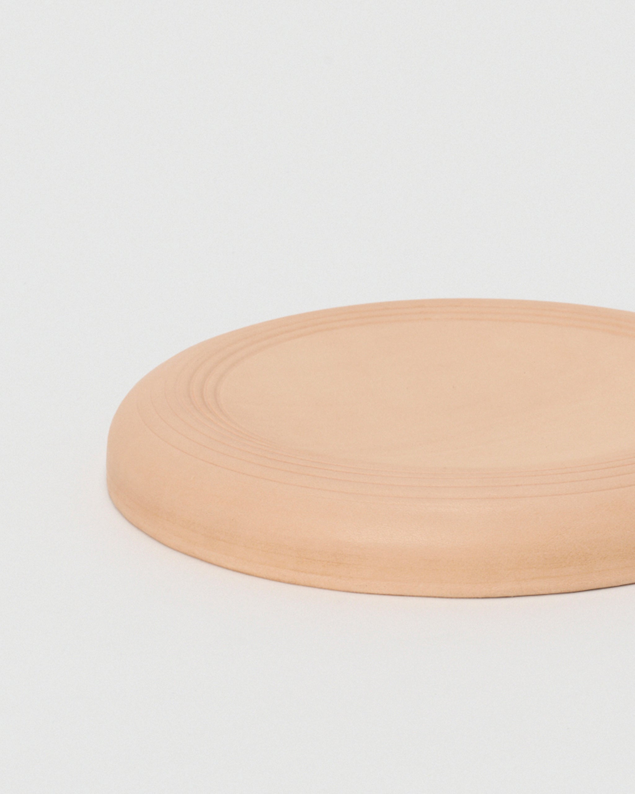 Flying Disc