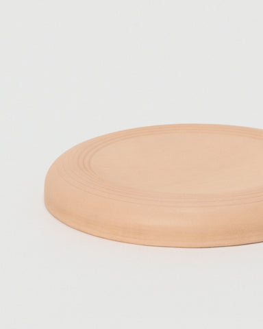 Flying Disc