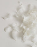 Close-up of Goose Feathers on a gray background