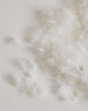 Close-up of Duck Feathers on a gray background