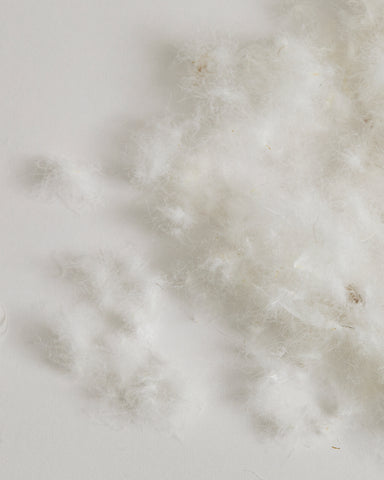 Close-up of Duck Feathers on a gray background