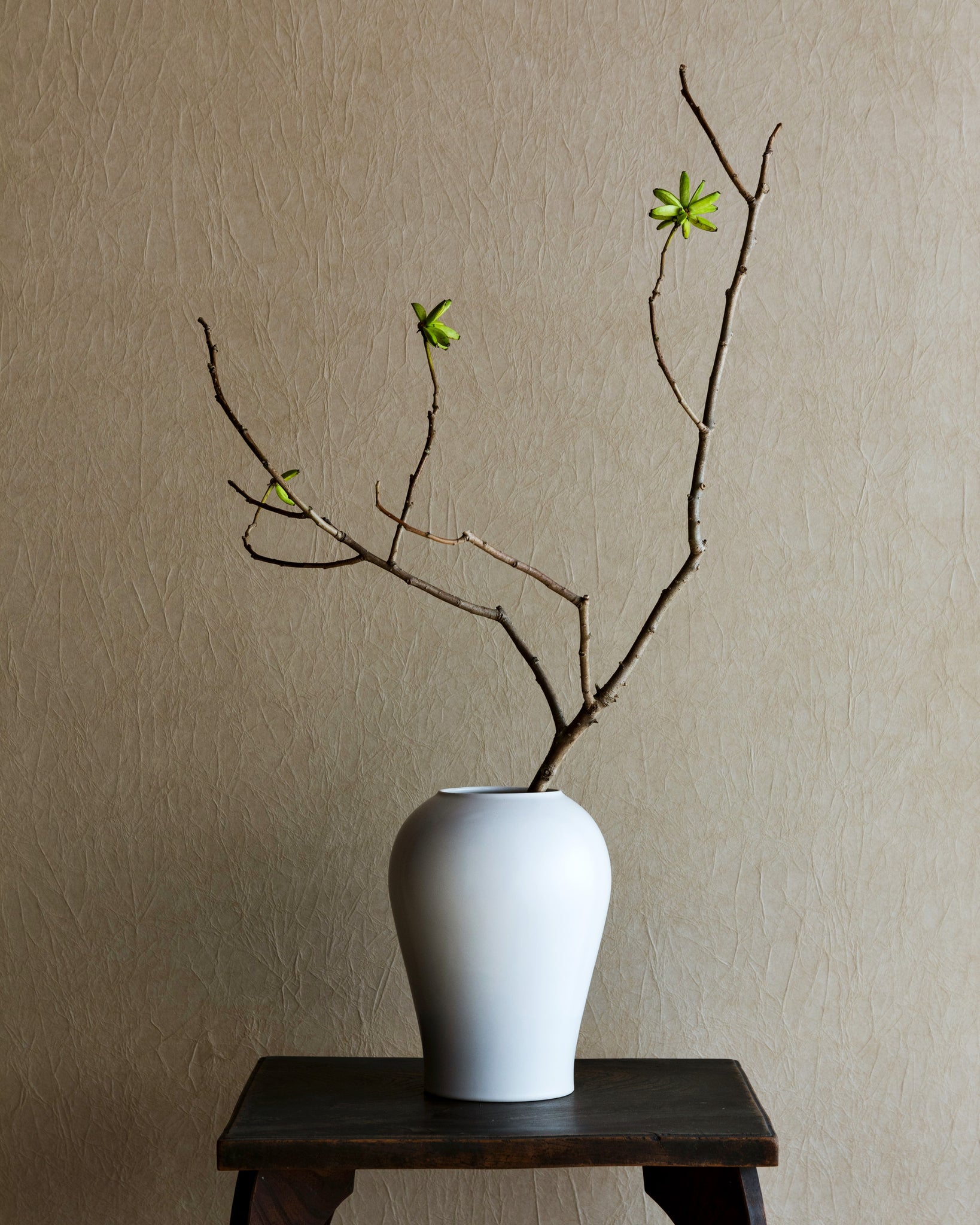 Large heishi vase placed on a dark brown wood stool with a long branch in it.