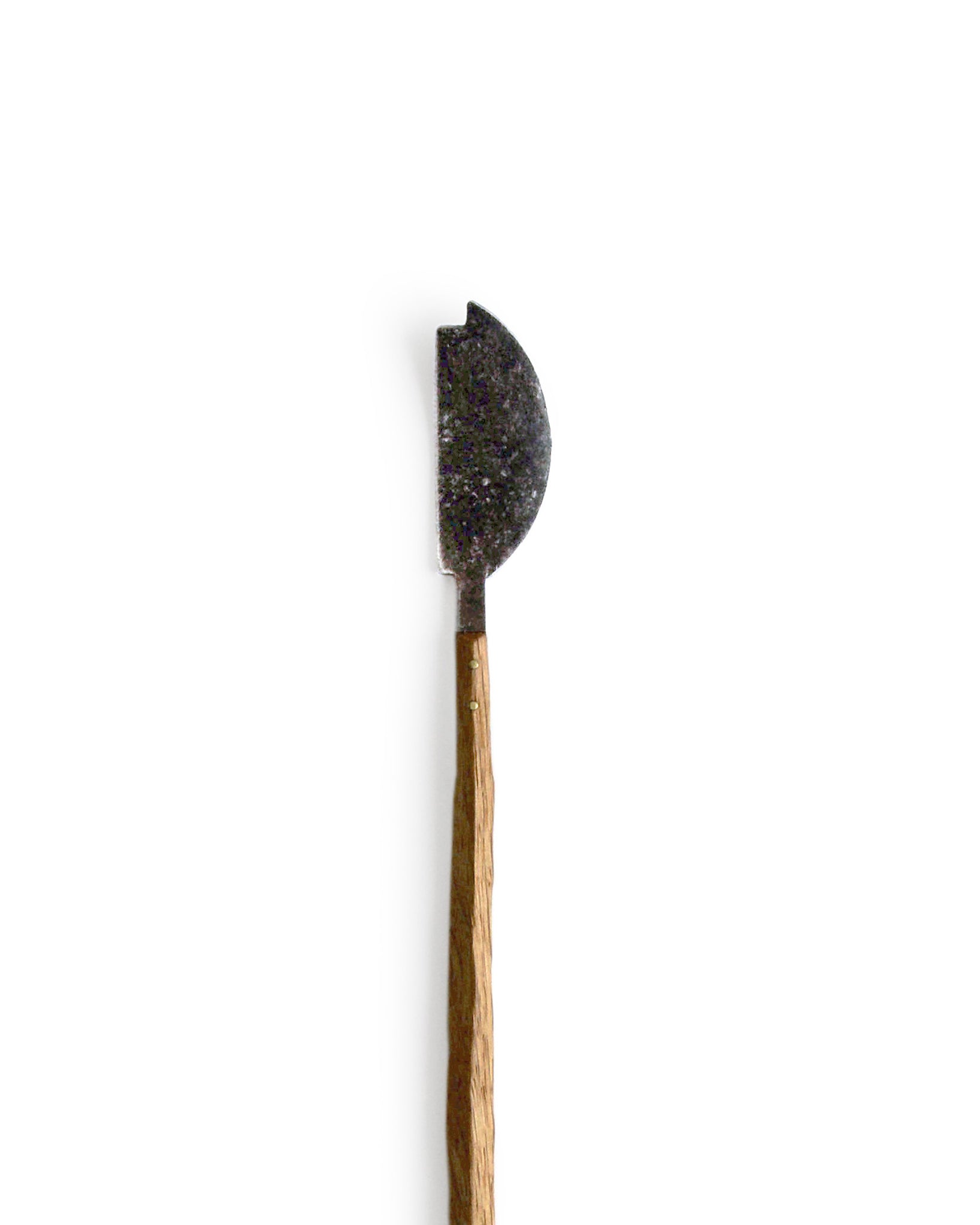 Oak Sprout Chashaku Tea Ladle - Abstract