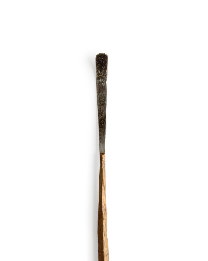 Oak Sprout Chashaku Tea Ladle - Straight
