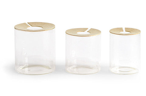 Lid Vision Glass Terrarium - Brass (OUT OF STOCK)