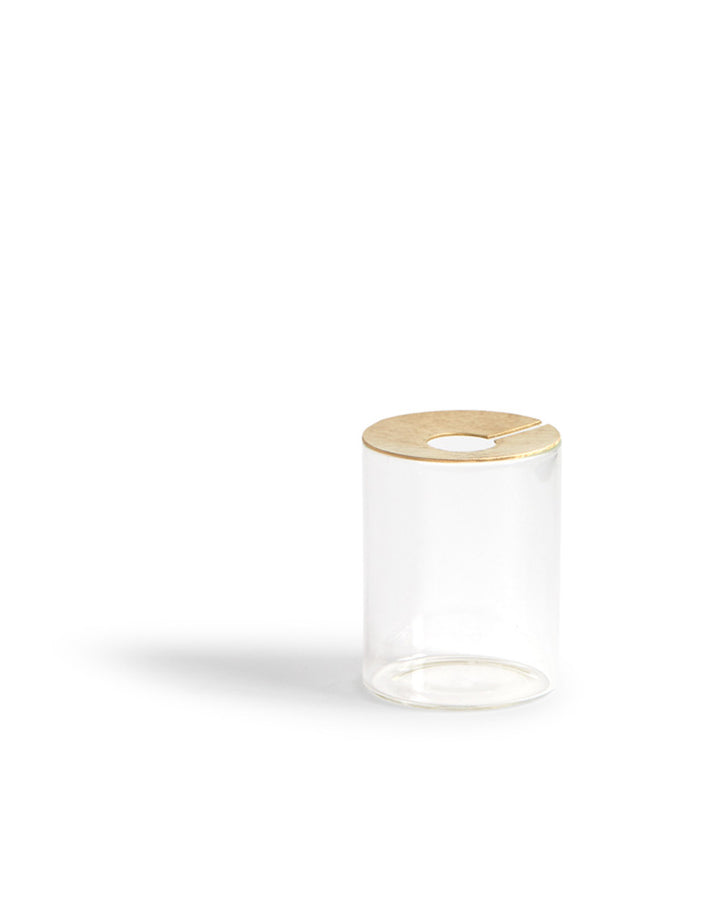 Lid Vision Glass Terrarium - Brass (OUT OF STOCK)