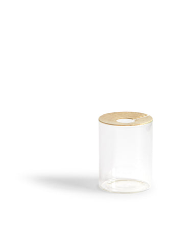 Lid Vision Glass Terrarium - Brass (OUT OF STOCK) - Small
