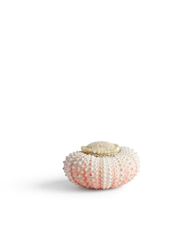 Sea Urchin Pincushion - Small
