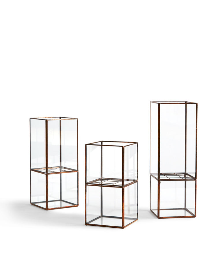 Hydro Terrarium - Medium (OUT OF STOCK)