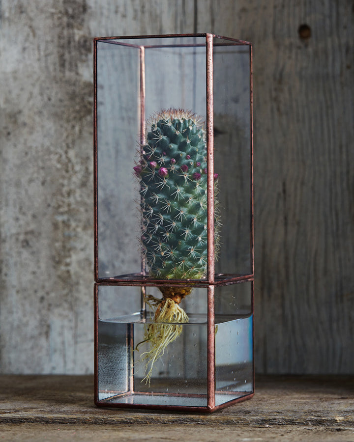Hydro Terrarium - Large (OUT OF STOCK)
