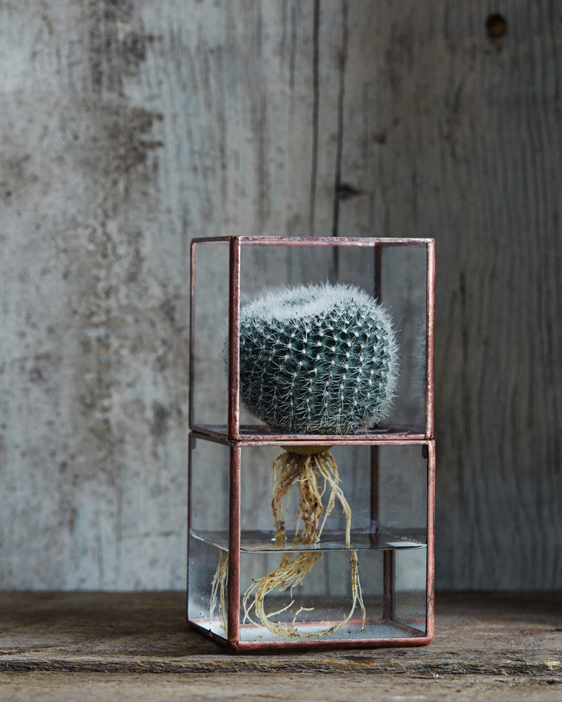 Hydro Terrarium - Small