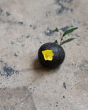 Handcrafted black stone shaped vases by Keisuke Iwata silhouetted against concrete background with yellow flower
