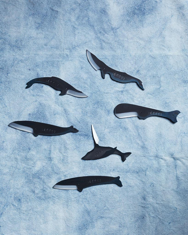 Kujira Knife - Sperm Whale
