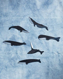 Kujira Knife - Fin Whale