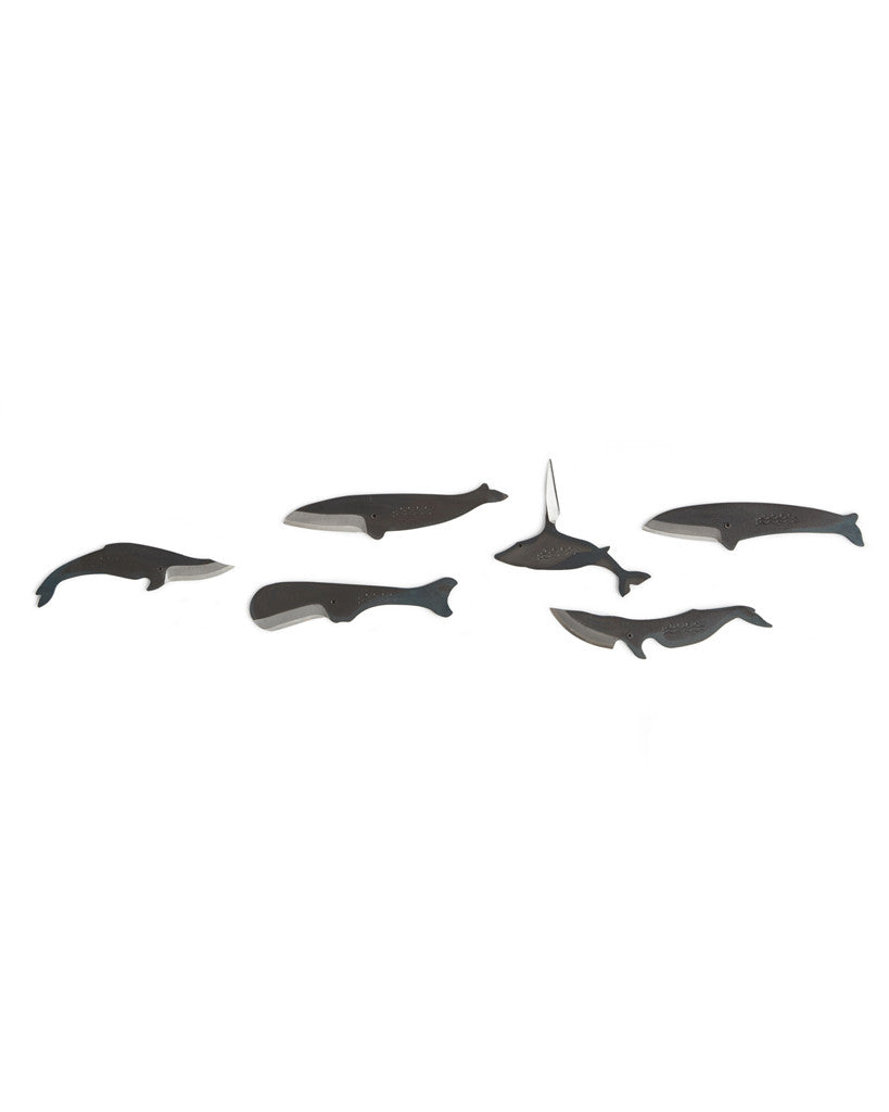 Kujira Knife - Mink Whale