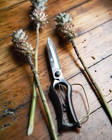 garden scissors large Landscaping Shears – Nalata Nalata