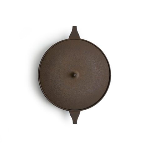 Cast Iron Skillet Dish