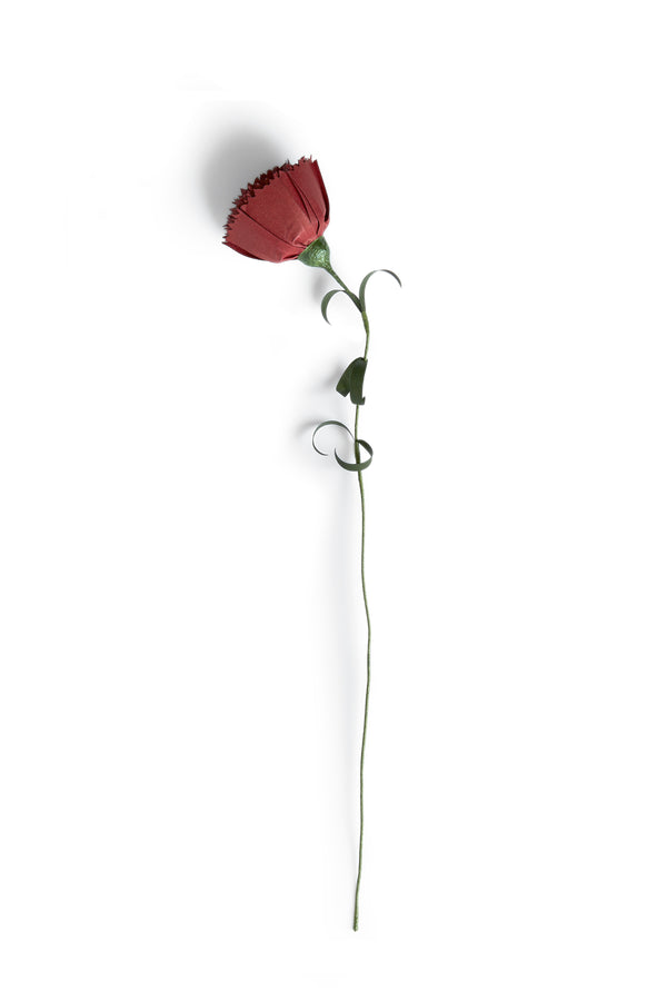 Paper Flower - Red Carnation (OUT OF STOCK)
