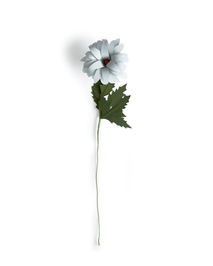 Paper Flower - Gray Dahlia (OUT OF STOCK)