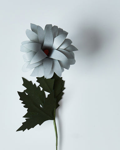 Paper Flower - Gray Dahlia (OUT OF STOCK)