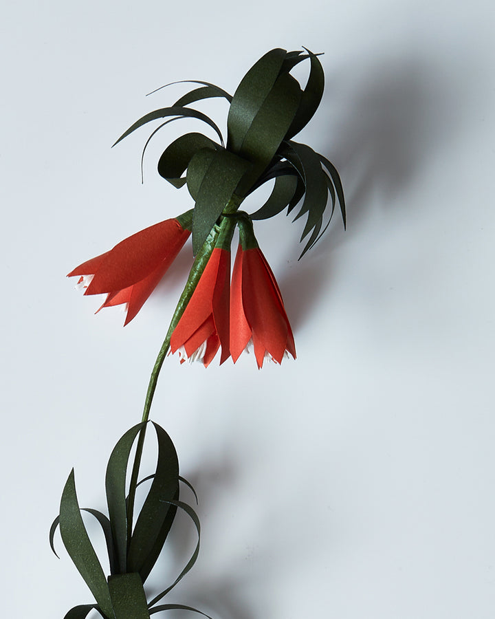 Paper Flower - Orange Fritillaria (OUT OF STOCK)