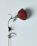 Paper Flower - Red Carnation (OUT OF STOCK)