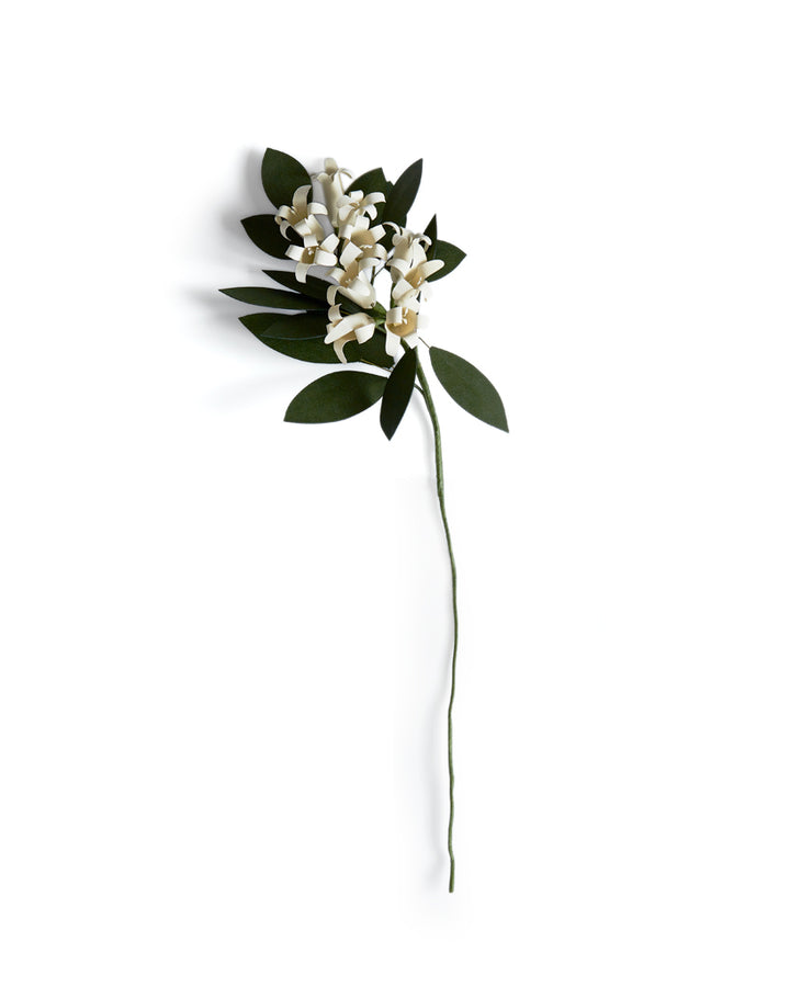 Paper Flower - White Jasmine (OUT OF STOCK) – Nalata Nalata