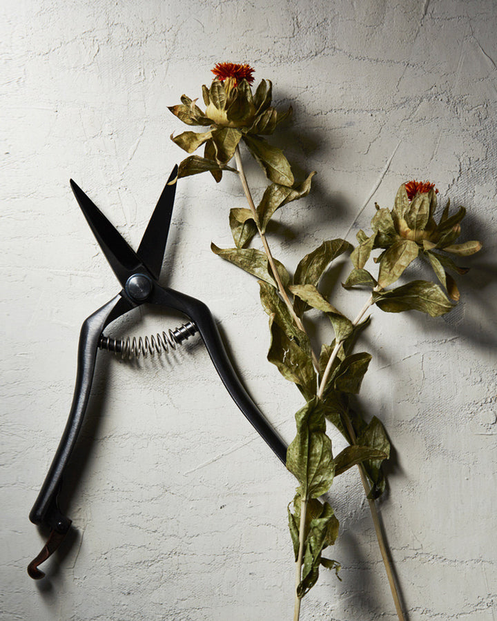Black Thinning Garden Shears