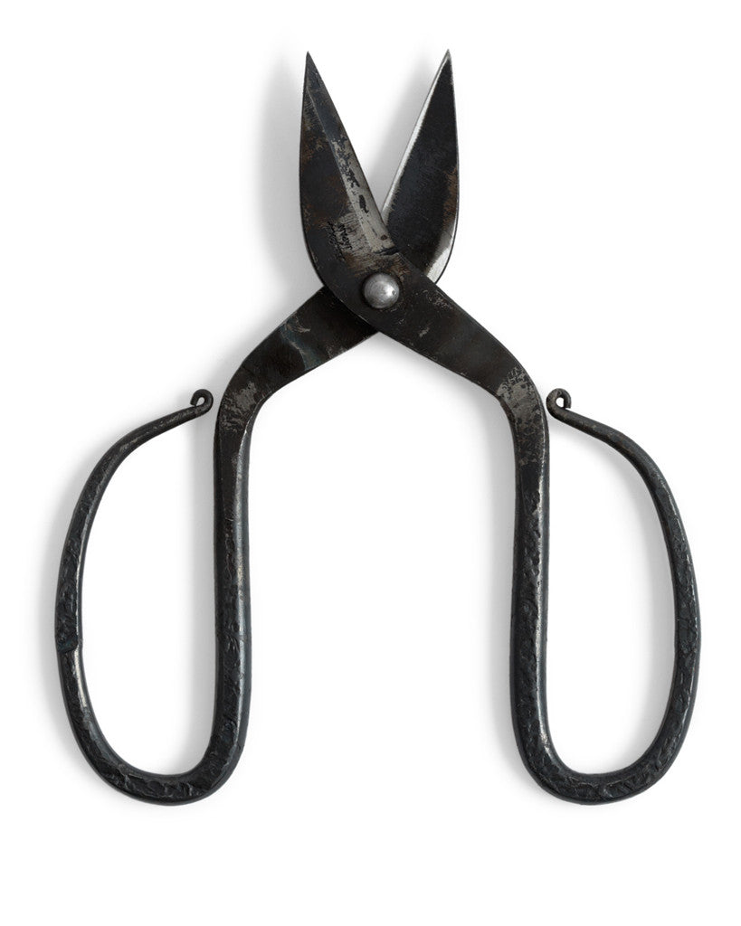 Branch and Root Shears